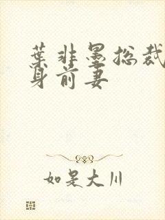 叶非墨总裁的替身前妻