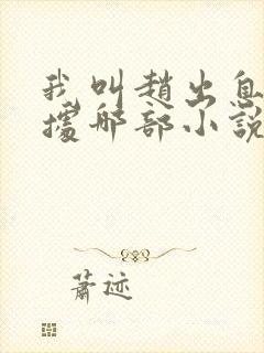 我叫赵出息是根据哪部小说改编的