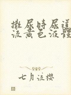 撒尿时尿道刺痛流黄色液体