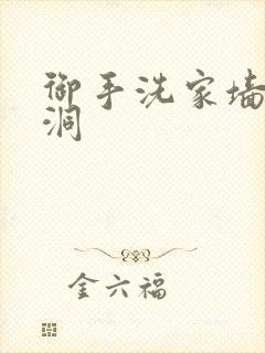 御手洗家墙上的洞