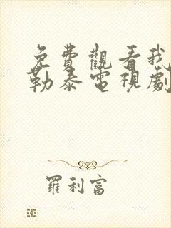 免费观看我的阿勒泰电视剧