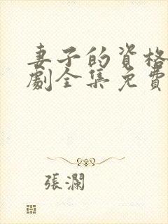 妻子的资格电视剧全集免费