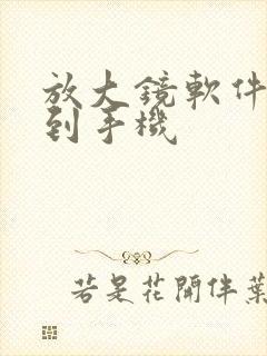 放大镜软件下载到手机