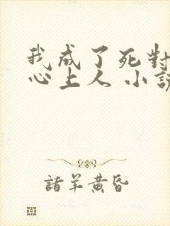 我成了死对头的心上人 小说