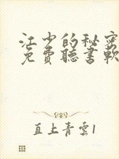 江少的秘密情人免费听书软件 全免费封面