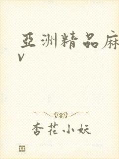 亚洲精品麻豆av