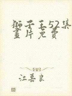 狮子王52集动画片免费