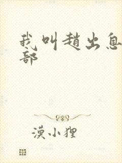 我叫赵出息第二部