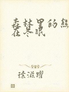 森林里的熊先生在冬眠