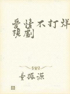 爱情不打烊 电视剧