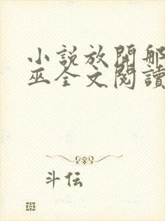 小说放开那个女巫全文阅读免费封面