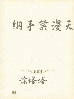 纲手禁漫天堂