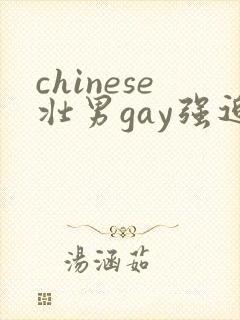 chinese壮男gay强迫野外xx