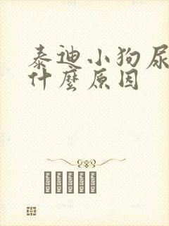 泰迪小狗尿血是什么原因