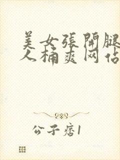 美女张开腿给男人桶爽网站