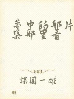 梦中的那片海全集哪里看