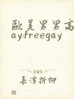 欧美男男高清gayfreegay