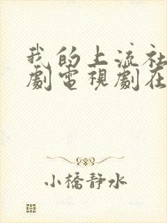 我的上流社会韩剧电视剧在线观看