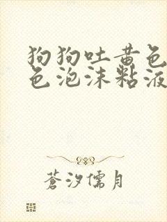 狗狗吐黄色和白色泡沫粘液是什么原因