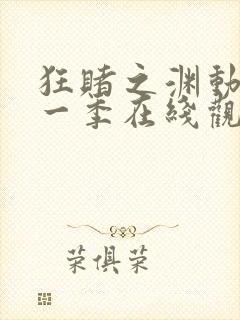 狂赌之渊动漫第一季在线观看