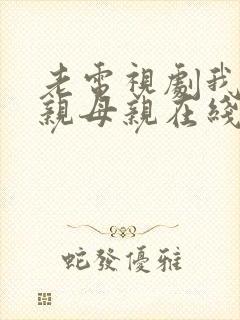 老电视剧我的父亲母亲在线观看封面