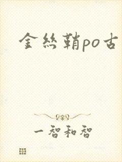 金丝鞘po古言封面