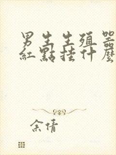 男生生殖器长小红点挂什么科封面