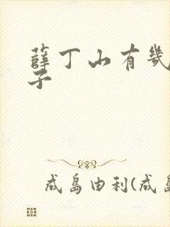 薛丁山有几位妻子