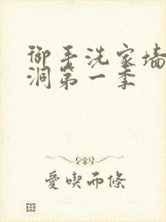 御手洗家墙壁破洞第一季