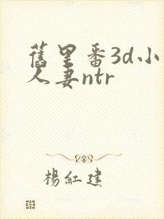 旧里番3d小婷人妻ntr