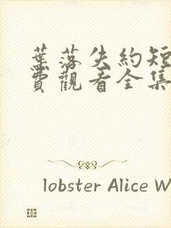 叶落失约短剧免费观看全集高清版封面