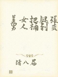 美女把腿张开给男人桶到爽