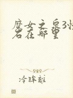 魔女之泉3怪力石在哪里