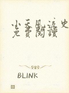 小天风流史全文免费阅读