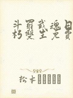 斗罗武魂日月不朽双生免费阅读小说