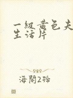 一级黄色夫妻性生活片