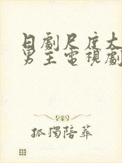 日剧尺度大的双男主电视剧封面