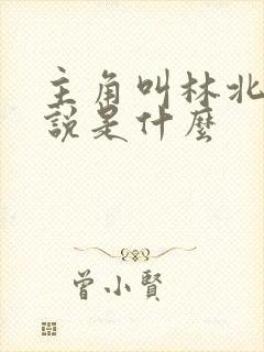 主角叫林北的小说是什么