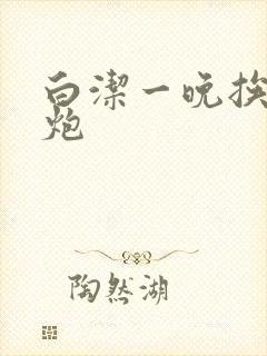 白洁一晚挨十二炮