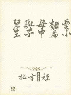 儿与母相爱结婚生子中篇小说封面