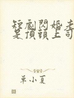 短剧闪婚老公竟是顶头上司免费封面