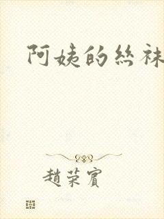 阿姨的丝袜小说