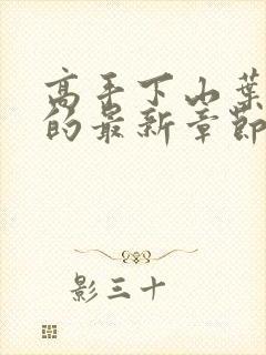 高手下山叶君临的最新章节