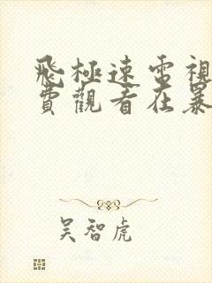 飞极速电视剧免费观看在暴雪时分