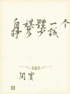 自媒体一个月能挣多少钱