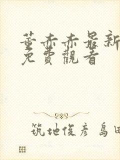 董赤赤最新短剧免费观看