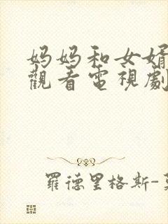 妈妈和女婿免费观看电视剧封面