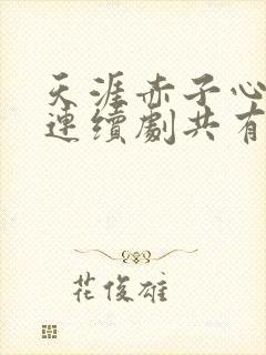 天涯赤子心电视连续剧共有多少集封面