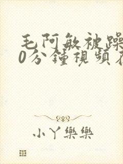 毛阿敏被躁120分钟视频在线观看