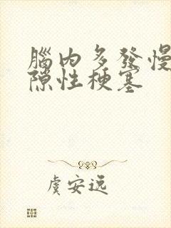 脑内多发慢性腔隙性梗塞